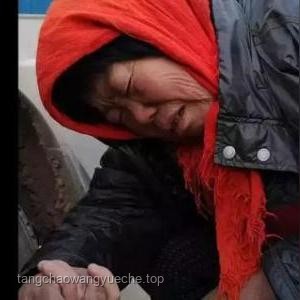 女网红违停耍横，跳上警车终被拘：一时冲动，终身教训
